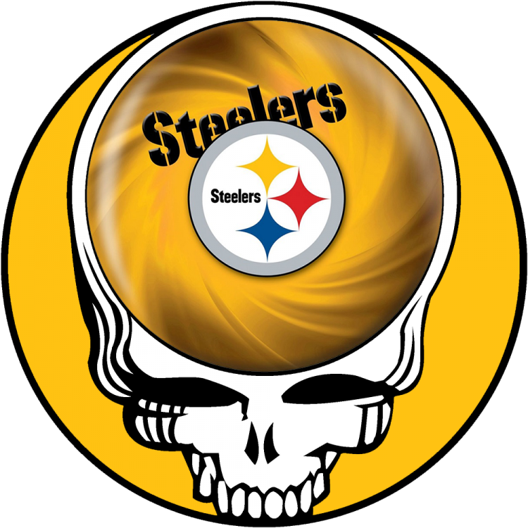 Pittsburgh Steelers skull logo fabric transfer